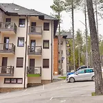 Zvezdana Noc